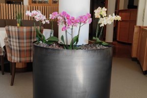 Blumenstation aus Stahl, Hotel Weihrerhof, Ritten, 2022