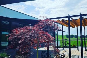 Rollsegel und Pergola, Outdoor Aufenthaltsbereich für Mitarbeiter, Bergkirchen, 2023