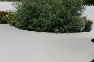 Detailansicht Rundschnitt um Baum, Vinothek Pillhof, Eppan, Südtirol, 2014